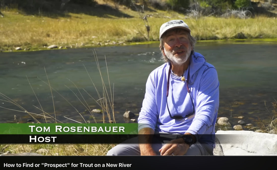 Fly Fishing Tip: How to Find or “Prospect” for Trout on New Water