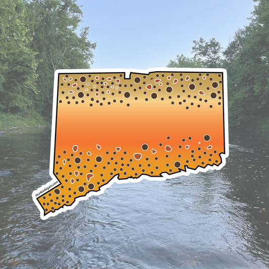 CT Brown Trout Sticker