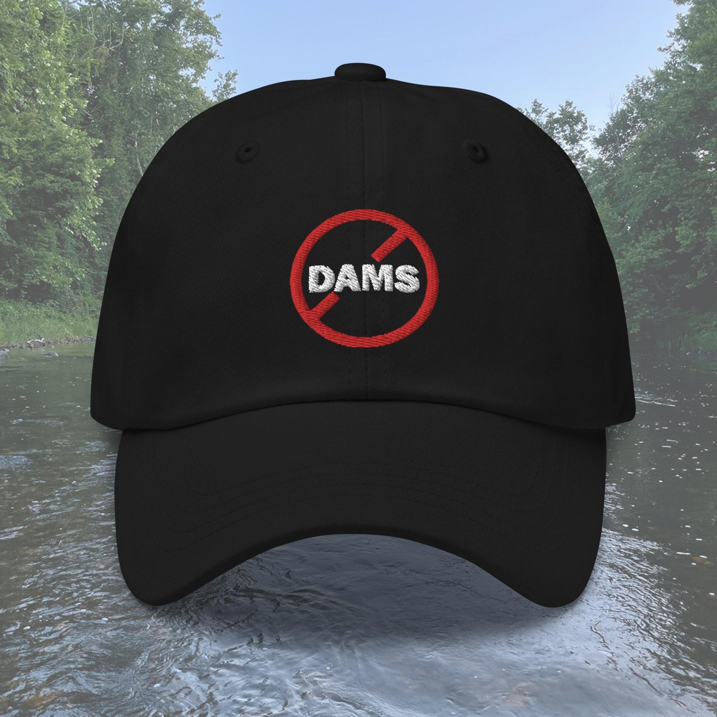 No Dams Dad hat