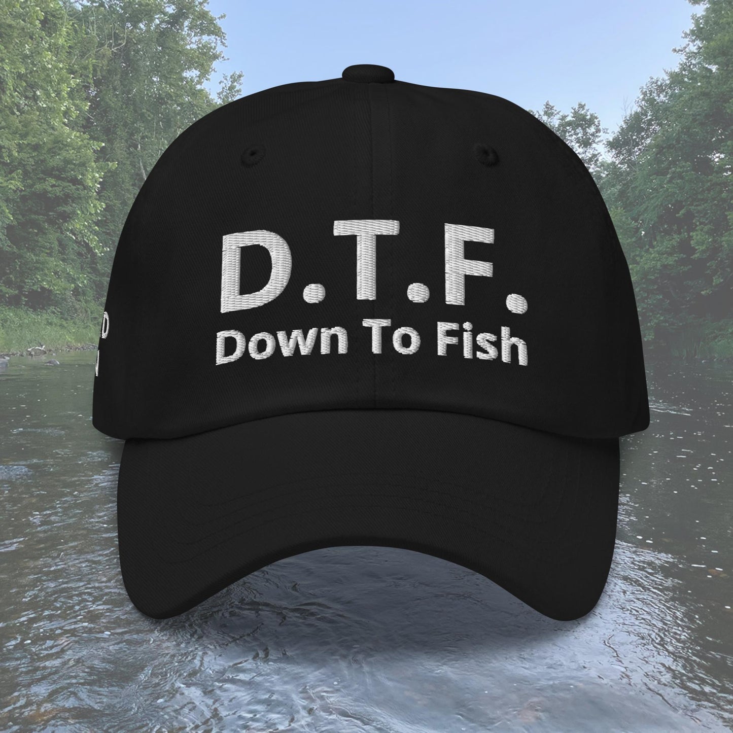 D.T.F. Down to Fish Dad hat