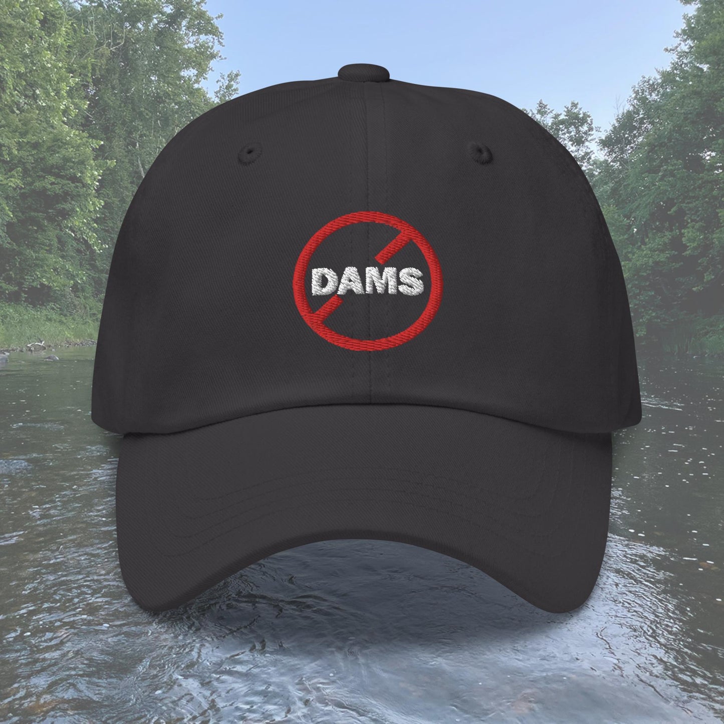 No Dams Dad hat