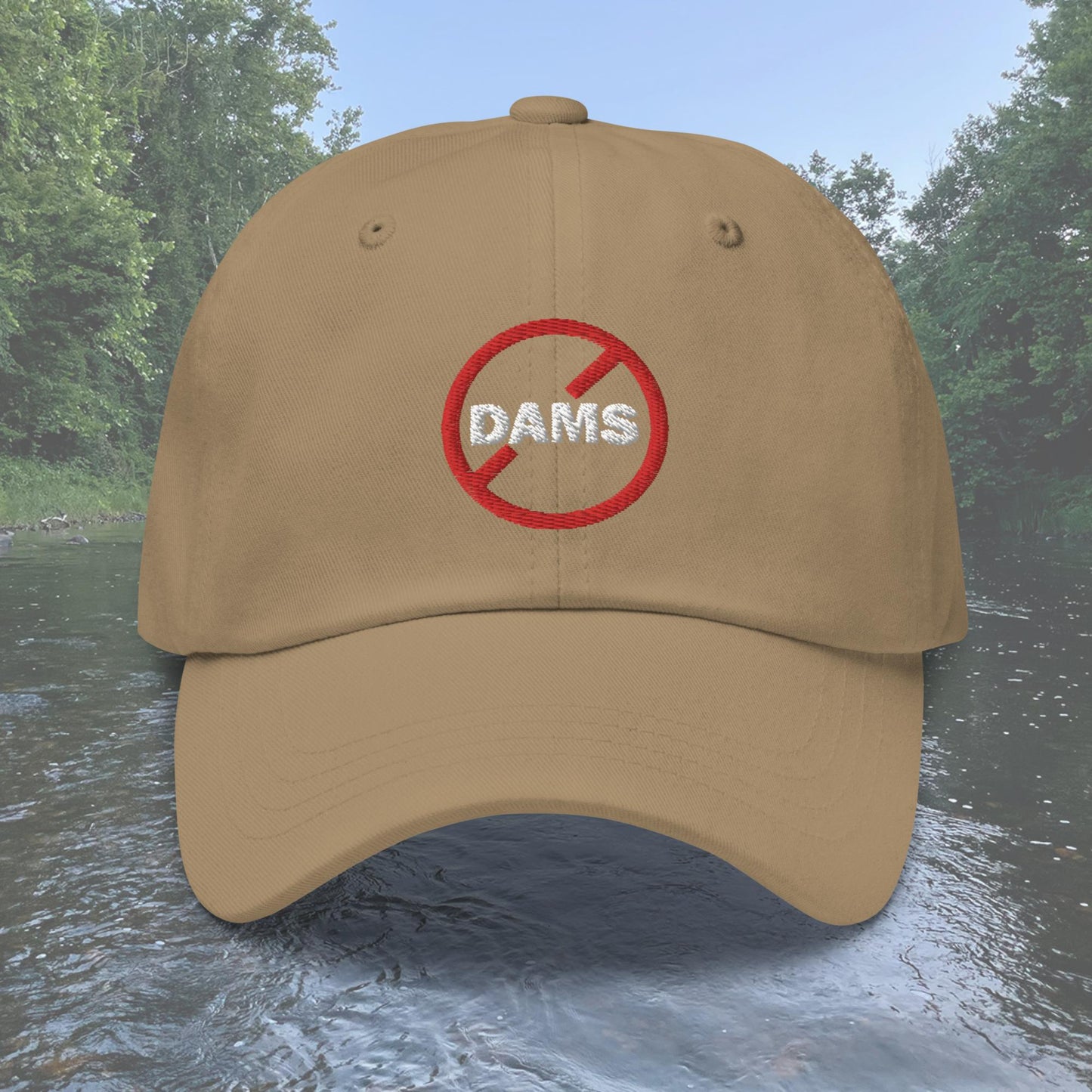 No Dams Dad hat