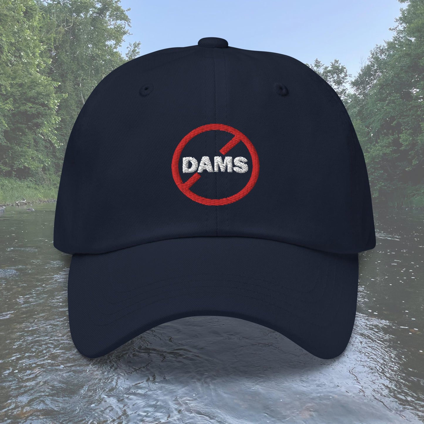 No Dams Dad hat