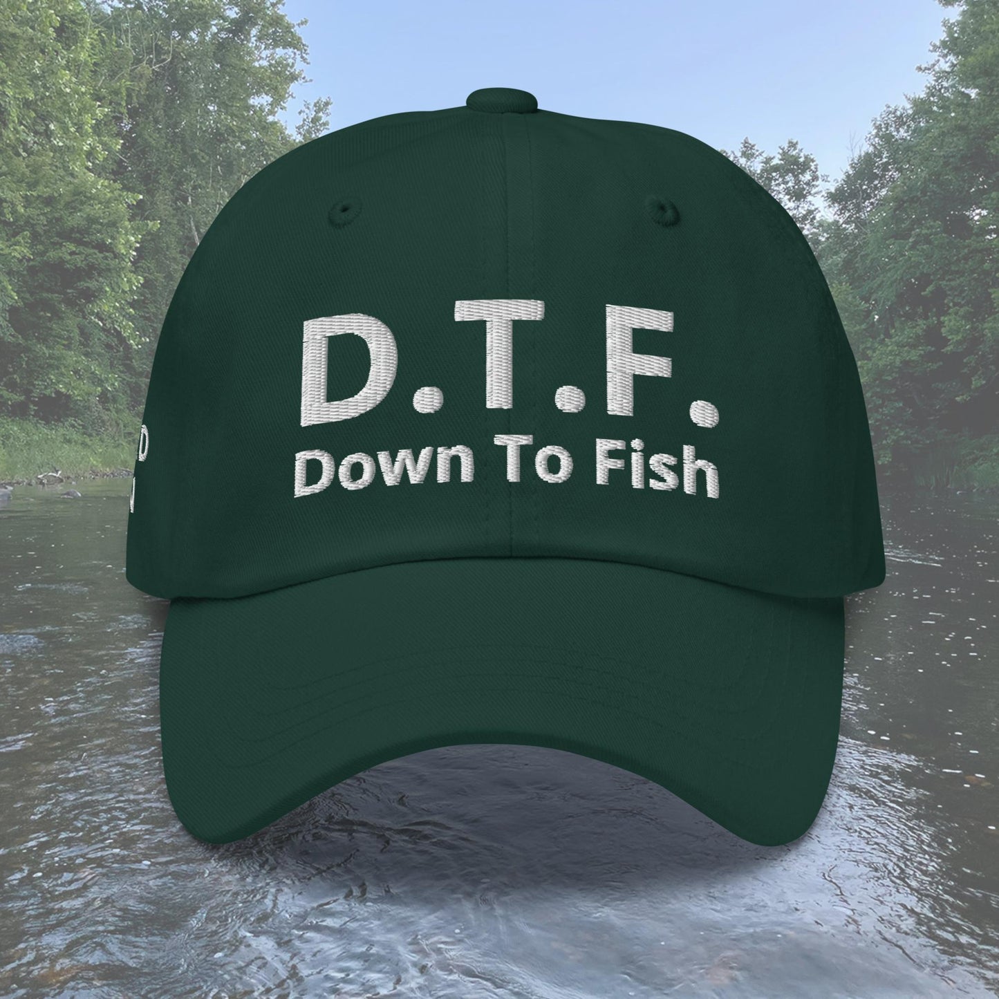 D.T.F. Down to Fish Dad hat