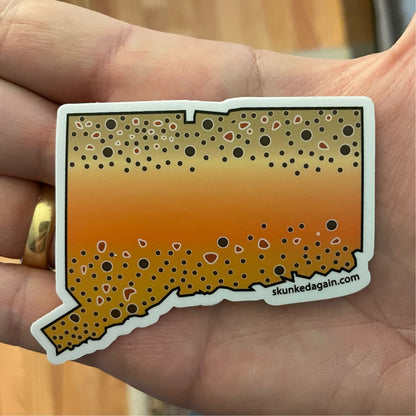 CT Brown Trout Sticker